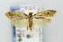  ( - CNCLEP00077943)  @14 [ ] CreativeCommons - Attribution Non-Commercial Share-Alike (2007) Unspecified Canadian National Collection