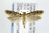  ( - CNCLEP00077982)  @14 [ ] CreativeCommons - Attribution Non-Commercial Share-Alike (2007) Unspecified Canadian National Collection