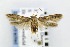  ( - CNCLEP00077992)  @15 [ ] CreativeCommons - Attribution Non-Commercial Share-Alike (2007) Unspecified Canadian National Collection