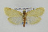  ( - CNCLEP00078034)  @13 [ ] CreativeCommons - Attribution Non-Commercial Share-Alike (2007) Unspecified Canadian National Collection