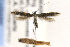  ( - CNCLEP00132343)  @11 [ ] CreativeCommons - Attribution Non-Commercial Share-Alike (2016) Jean-Francois Landry Canadian National Collection