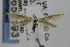  ( - USNMENT00656193)  @13 [ ] Copyright (2007) Unspecified Canadian National Collection