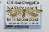  (Exoteleia californica - USNMENT00656195)  @12 [ ] Copyright (2007) Unspecified Canadian National Collection