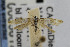 ( - USNMENT00656199)  @13 [ ] Copyright (2007) Unspecified Canadian National Collection