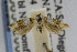  ( - USNMENT00656200)  @12 [ ] Copyright (2007) Unspecified Canadian National Collection