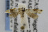  ( - USNMENT00656204)  @13 [ ] Copyright (2007) Unspecified Canadian National Collection