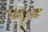  ( - USNMENT00656205)  @13 [ ] Copyright (2007) Unspecified Canadian National Collection