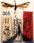  ( - CNCLEP00142038)  @12 [ ] CreativeCommons - Attribution Non-Commercial Share-Alike (2016) Jean-Francois Landry Canadian National Collection