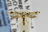  ( - USNMENT00420062)  @14 [ ] Copyright (2011) Jean-Francois Landry Canadian National Collection