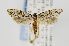  ( - USNMENT00656610)  @14 [ ] Copyright (2011) Jean-Francois Landry Canadian National Collection