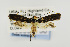  ( - USNMENT00656750)  @14 [ ] Copyright (2011) Jean-Francois Landry Canadian National Collection