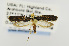  ( - USNMENT00656756)  @14 [ ] Copyright (2011) Jean-Francois Landry Canadian National Collection
