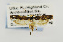  ( - USNMENT00656759)  @14 [ ] Copyright (2011) Jean-Francois Landry Canadian National Collection