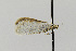  ( - USNMENT00656805)  @12 [ ] Copyright (2011) Jean-Francois Landry Canadian National Collection