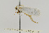  ( - USNMENT00656851)  @12 [ ] Copyright (2011) Jean-Francois Landry Canadian National Collection