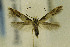  ( - CNCLEP00069195)  @13 [ ] CreativeCommons - Attribution Non-Commercial Share-Alike (2014) Jean-Francois Landry Canadian National Collection