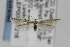 ( - CNCLEP00097216)  @13 [ ] CreativeCommons - Attribution Non-Commercial Share-Alike (2013) Jean-Francois Landry Canadian National Collection