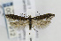  ( - CNCLEP00097912)  @14 [ ] CreativeCommons - Attribution Non-Commercial Share-Alike (2013) Jean-Francois Landry Canadian National Collection