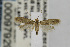 ( - CNCLEP00097929)  @13 [ ] CreativeCommons - Attribution Non-Commercial Share-Alike (2013) Jean-Francois Landry Canadian National Collection