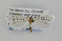  ( - CNCLEP00097982)  @14 [ ] CreativeCommons - Attribution Non-Commercial Share-Alike (2013) Jean-Francois Landry Canadian National Collection