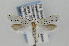  ( - CNCLEP00097986)  @14 [ ] CreativeCommons - Attribution Non-Commercial Share-Alike (2013) Jean-Francois Landry Canadian National Collection