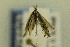  ( - CNCLEP00112597)  @13 [ ] CreativeCommons - Attribution Non-Commercial Share-Alike (2014) Jean-Francois Landry Canadian National Collection