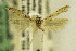  ( - CSUENT0048600)  @11 [ ] Copyright (2014) Jean-Francois Landry Canadian National Collection