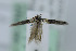  ( - MGCL-164079)  @13 [ ] Copyright (2013) Jean-Francois Landry Canadian National Collection