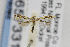  ( - USNMENT00657331)  @14 [ ] Copyright (2011) Jean-Francois Landry Canadian National Collection