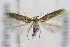  ( - CNCLEP00076985)  @12 [ ] CreativeCommons - Attribution Non-Commercial Share-Alike (2013) Jean-Francois Landry Canadian National Collection