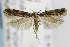  ( - CNCLEP00077021)  @13 [ ] CreativeCommons - Attribution Non-Commercial Share-Alike (2013) Jean-Francois Landry Canadian National Collection