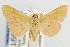  ( - CNCLEP00099171)  @14 [ ] CreativeCommons - Attribution Non-Commercial Share-Alike (2013) Jean-Francois Landry Canadian National Collection