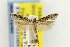  ( - EMEC331009)  @11 [ ] Copyright (2012) Unspecified Essig Museum of Entomology