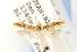  ( - EMEC331012)  @11 [ ] Copyright (2012) Unspecified Essig Museum of Entomology
