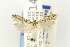  ( - EMEC331024)  @11 [ ] Copyright (2012) Unspecified Essig Museum of Entomology