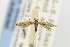  ( - EMEC331032)  @11 [ ] Copyright (2012) Unspecified Essig Museum of Entomology