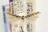  ( - EMEC331037)  @11 [ ] Copyright (2012) Unspecified Essig Museum of Entomology