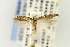  (Scrobipalpa arenaceariella - EMEC331039)  @11 [ ] Copyright (2012) Unspecified Essig Museum of Entomology