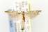  (Exceptia sisterina - EMEC331059)  @13 [ ] Copyright (2012) Unspecified Essig Museum of Entomology