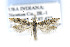  ( - CNCLEP00132731)  @14 [ ] CreativeCommons - Attribution Non-Commercial Share-Alike (2016) Jean-Francois Landry Canadian National Collection of Insects