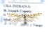  ( - CNCLEP00132827)  @12 [ ] CreativeCommons - Attribution Non-Commercial Share-Alike (2016) Jean-Francois Landry Canadian National Collection of Insects