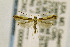  ( - CNCLEP00006881)  @11 [ ] CreativeCommons - Attribution Non-Commercial Share-Alike (2016) Jean-Francois Landry Canadian National Collection