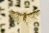  ( - CNCLEP00115236)  @12 [ ] CreativeCommons - Attribution Non-Commercial Share-Alike (2016) Jean-Francois Landry Canadian National Collection