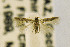  ( - CNCLEP00115239)  @12 [ ] CreativeCommons - Attribution Non-Commercial Share-Alike (2016) Jean-Francois Landry Canadian National Collection