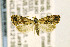 ( - CNCLEP00121398)  @13 [ ] CreativeCommons - Attribution Non-Commercial Share-Alike (2016) Jean-Francois Landry Canadian National Collection