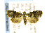  ( - CNCLEP00147067)  @14 [ ] CreativeCommons - Attribution Non-Commercial Share-Alike (2016) Jean-Francois Landry Canadian National Collection