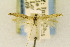  ( - EMEC408738)  @11 [ ] CreativeCommons - Attribution Non-Commercial Share-Alike (2016) Jean-Francois Landry Canadian National Collection