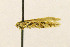  ( - LACMENT326747)  @11 [ ] CreativeCommons - Attribution Non-Commercial Share-Alike (2016) Jean-Francois Landry Canadian National Collection