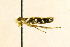  ( - LACMENT329253)  @11 [ ] CreativeCommons - Attribution Non-Commercial Share-Alike (2016) Jean-Francois Landry Canadian National Collection