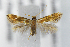  ( - AC008643)  @11 [ ] Unspecified (default): All Rights Reserved (2019) Jean-Francois Landry Canadian National Collection